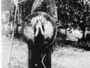 Tabanani