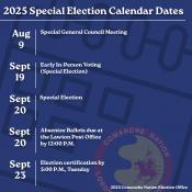 special election calendar dates